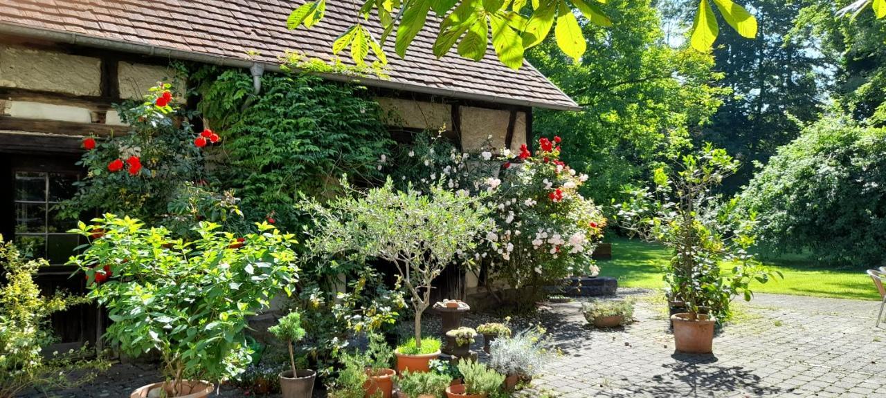 Villaflora Gaestehaus Riedlingen Exterior photo